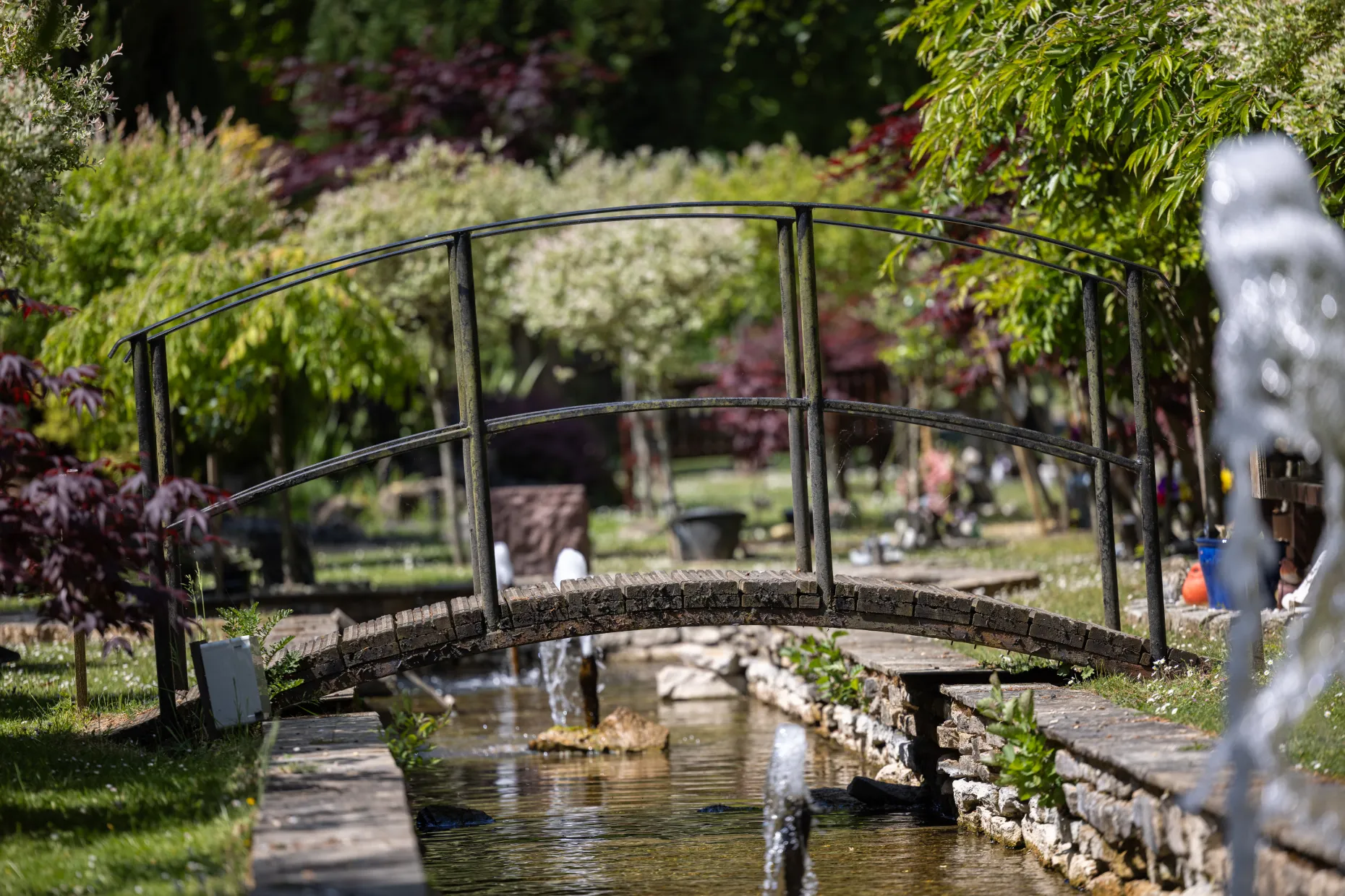 Pond bridge