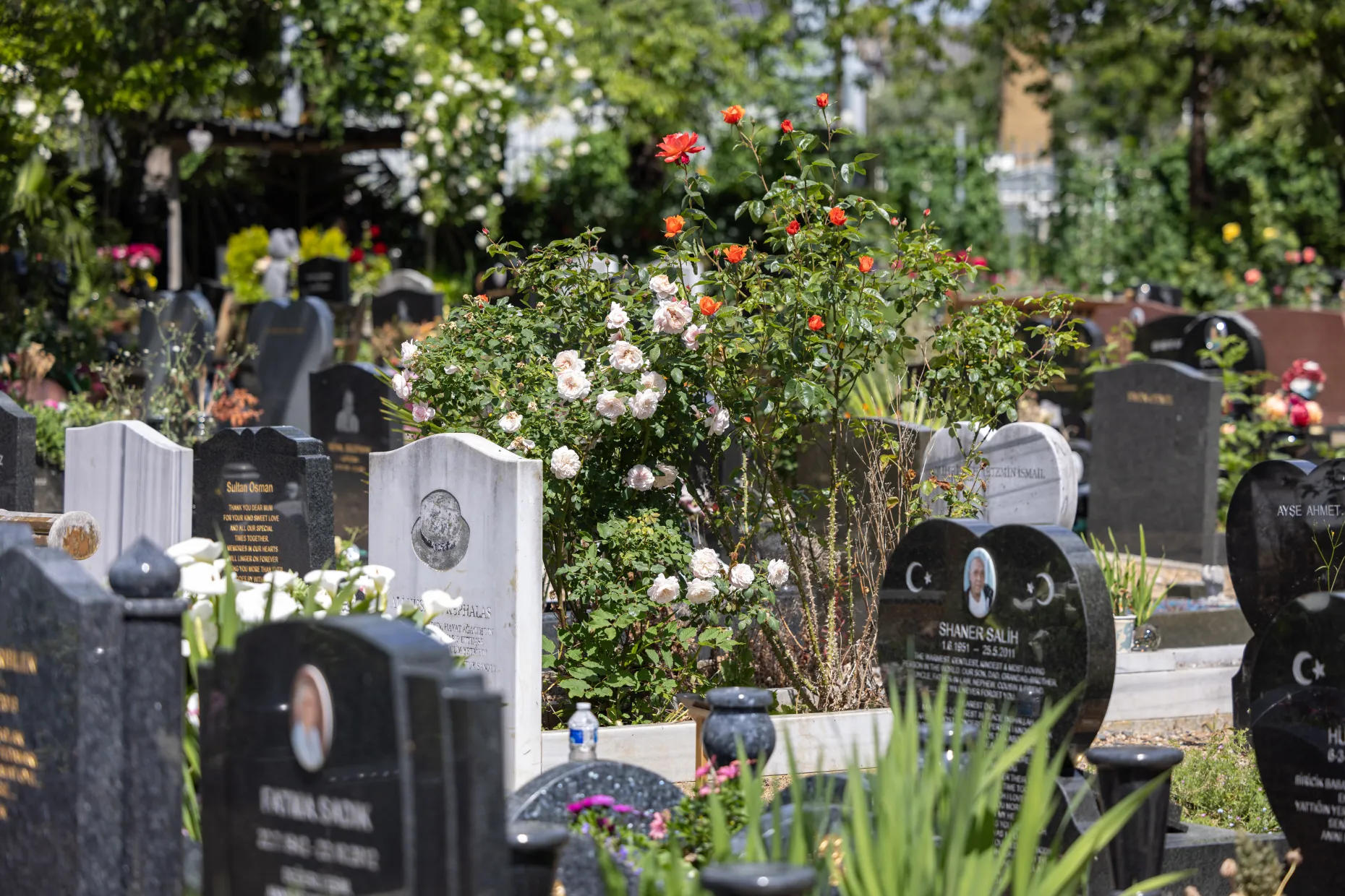 Cemetery headstones