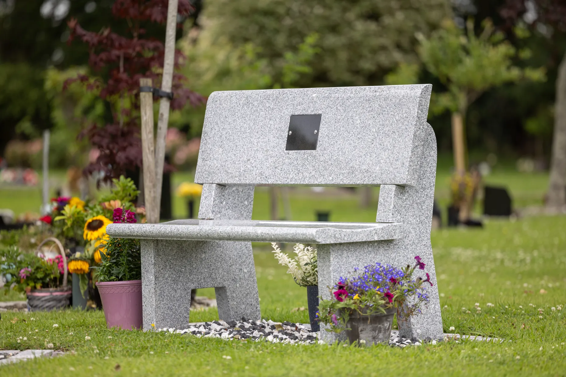 Bench in memorial grounds