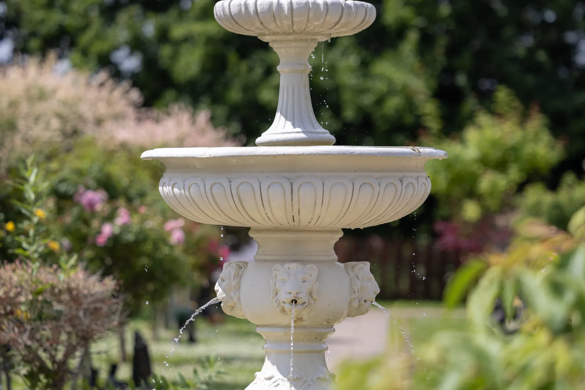 Water fountain
