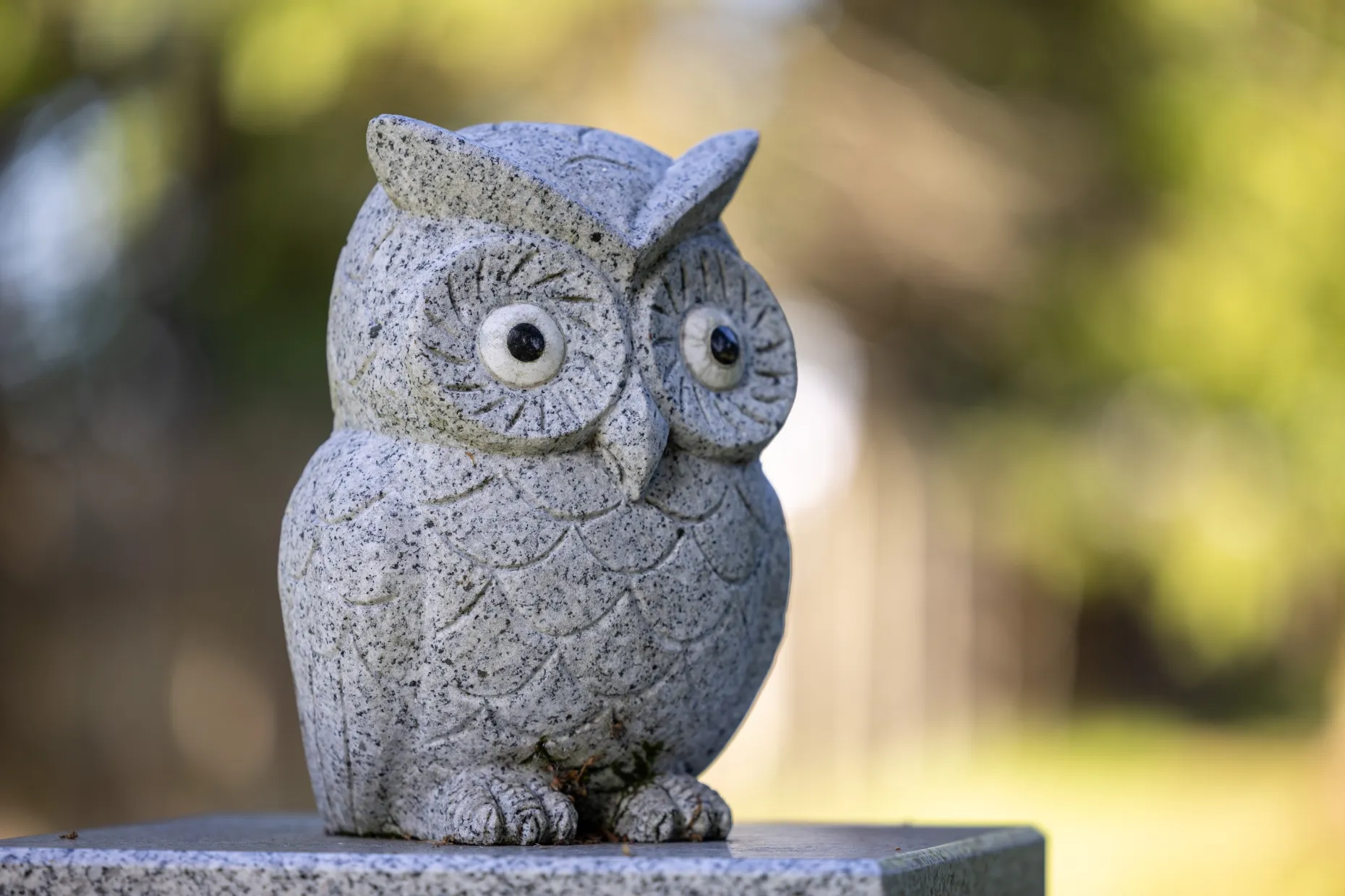 Owl feature