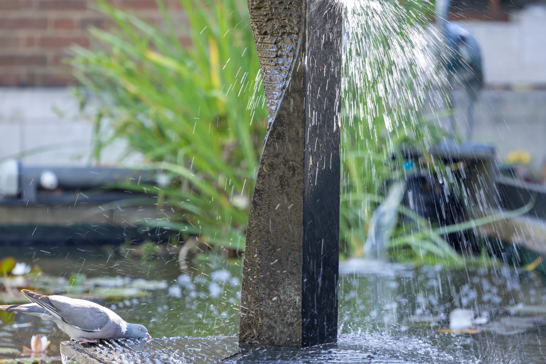 Water feature