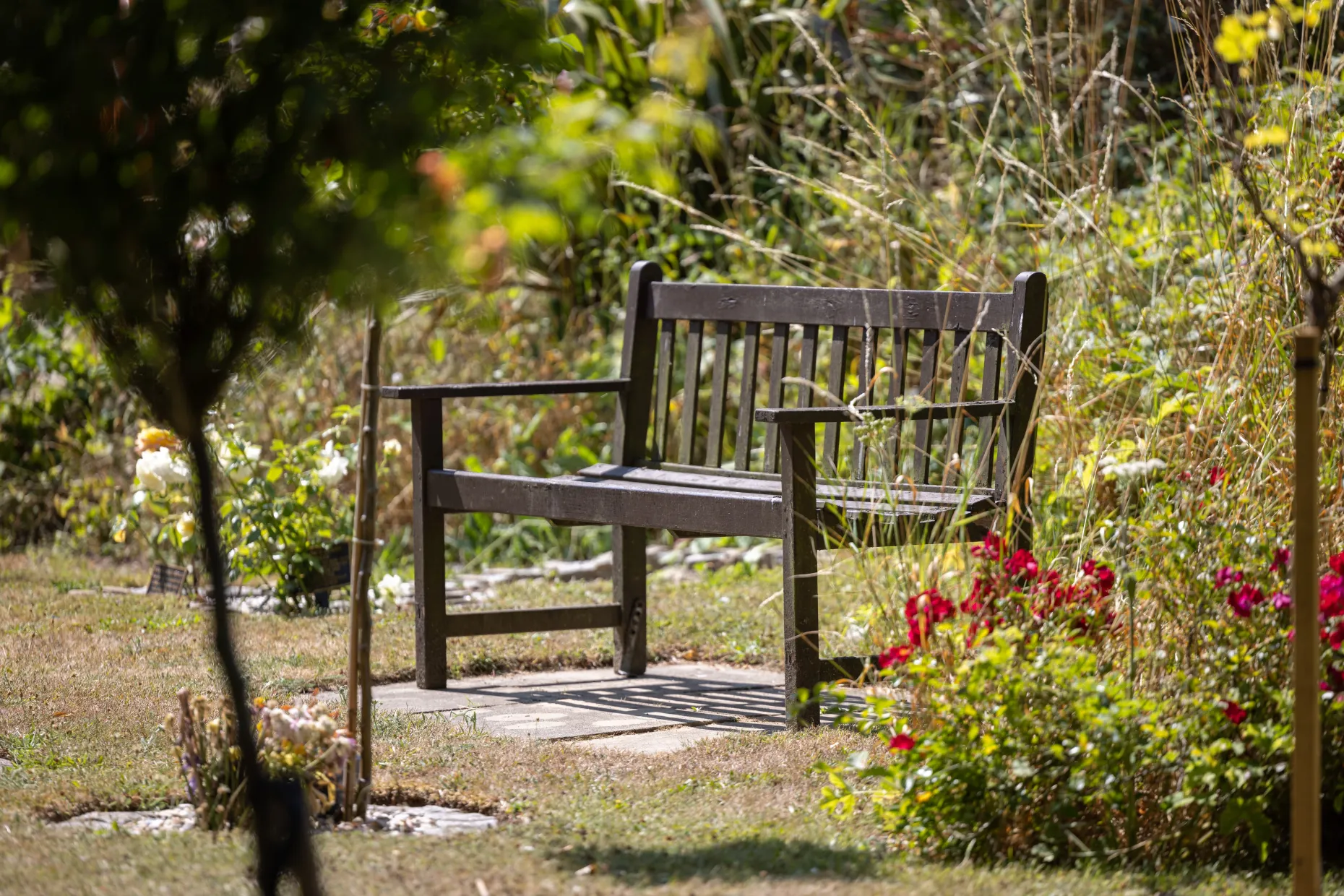 Bench in memorial grounds