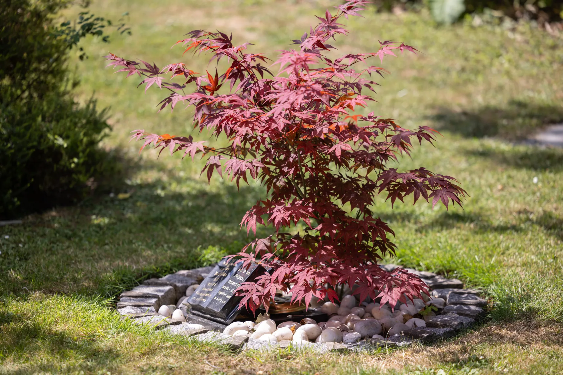 Memorial garden
