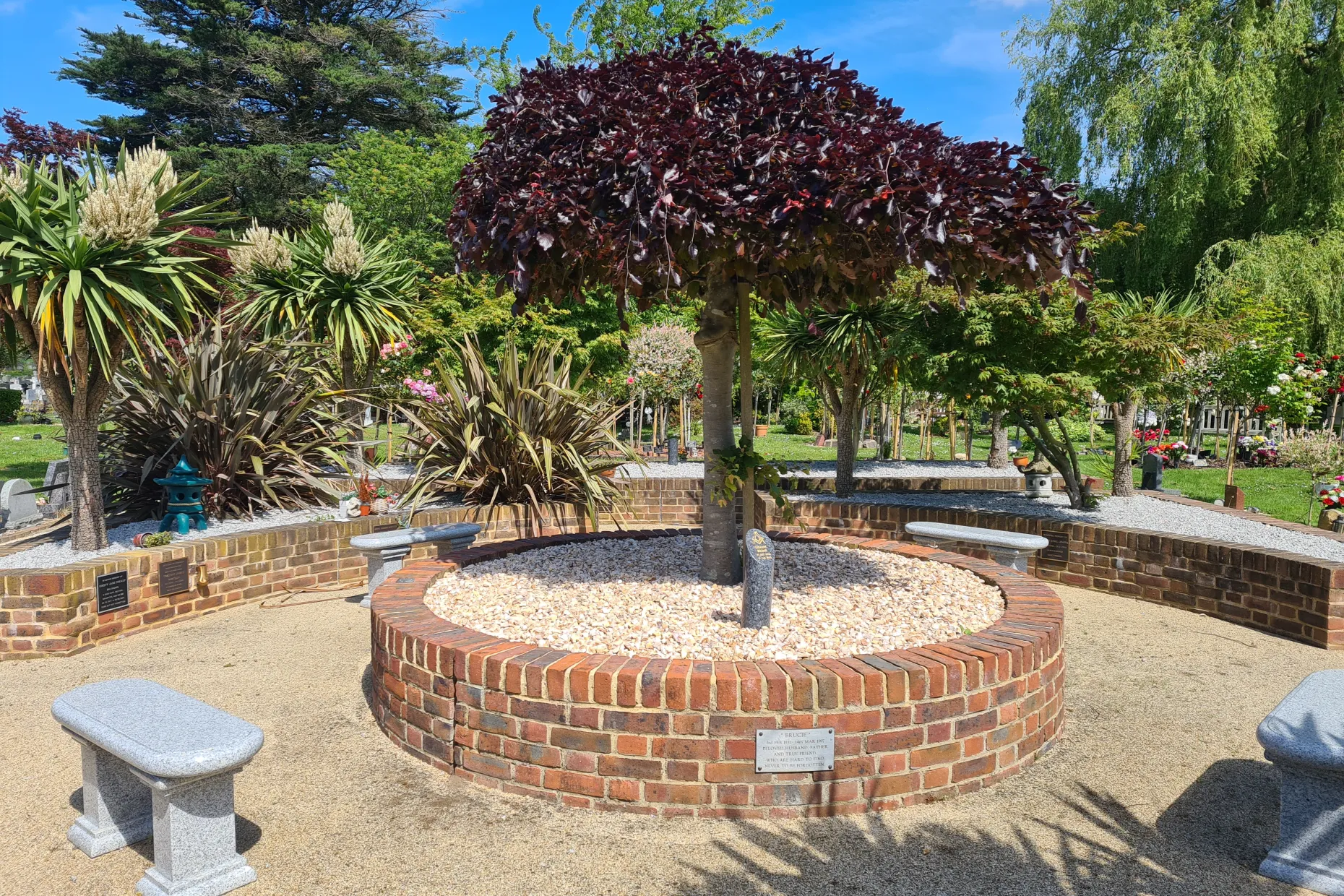 Japanese tree in memorial grounds