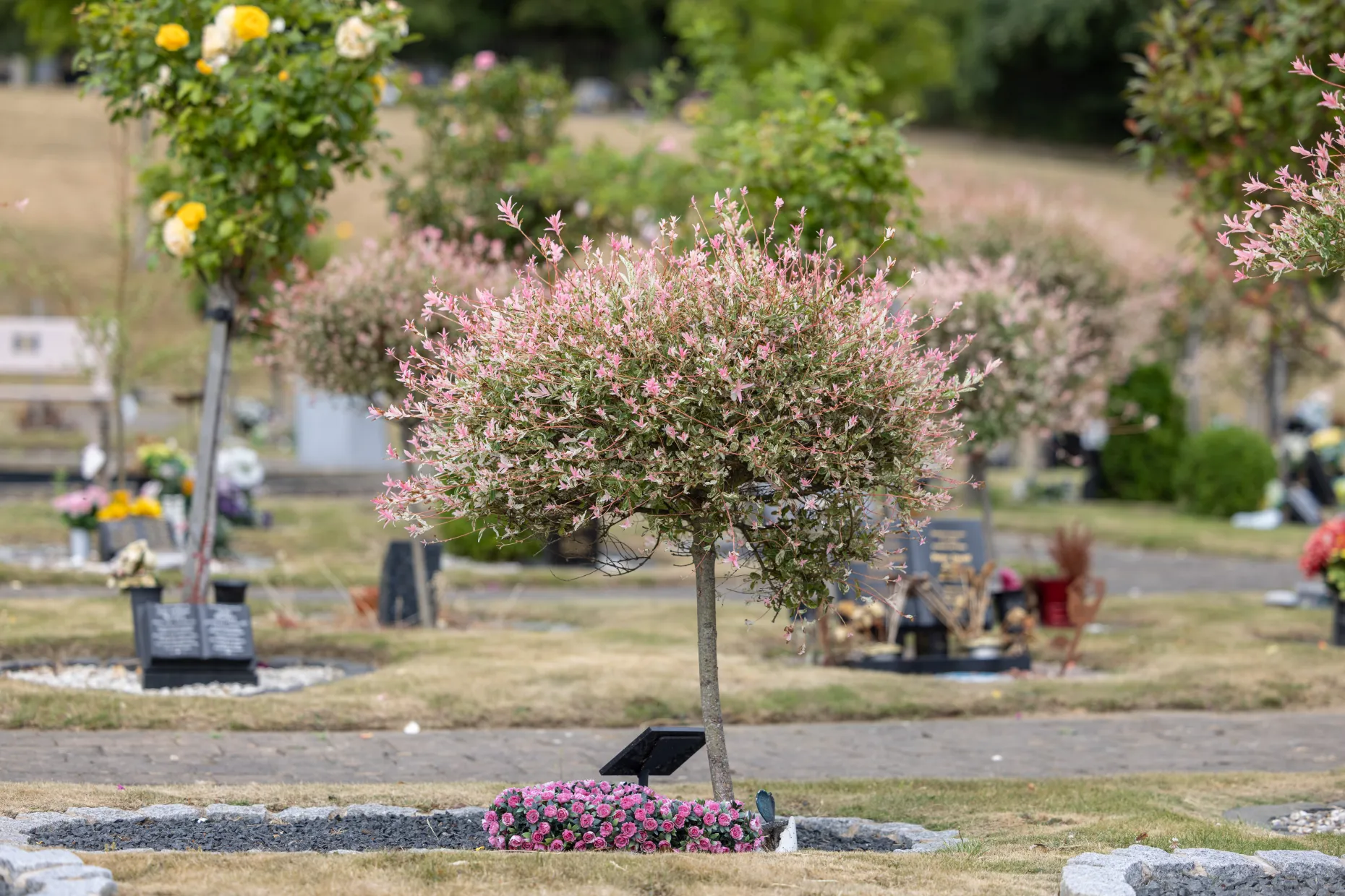 Rotherham Crematorium Grounds