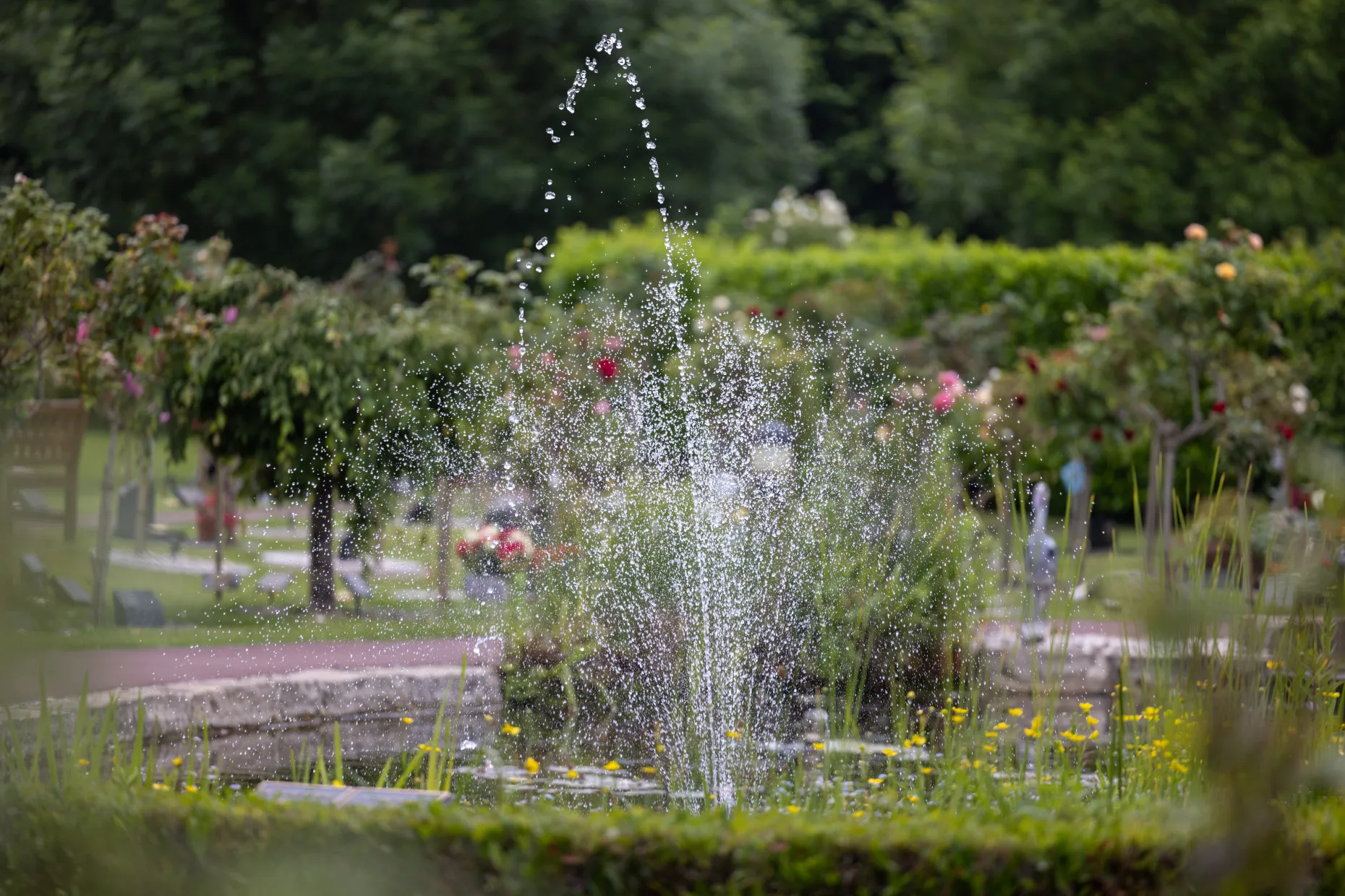 Mendip Crematorium Grounds