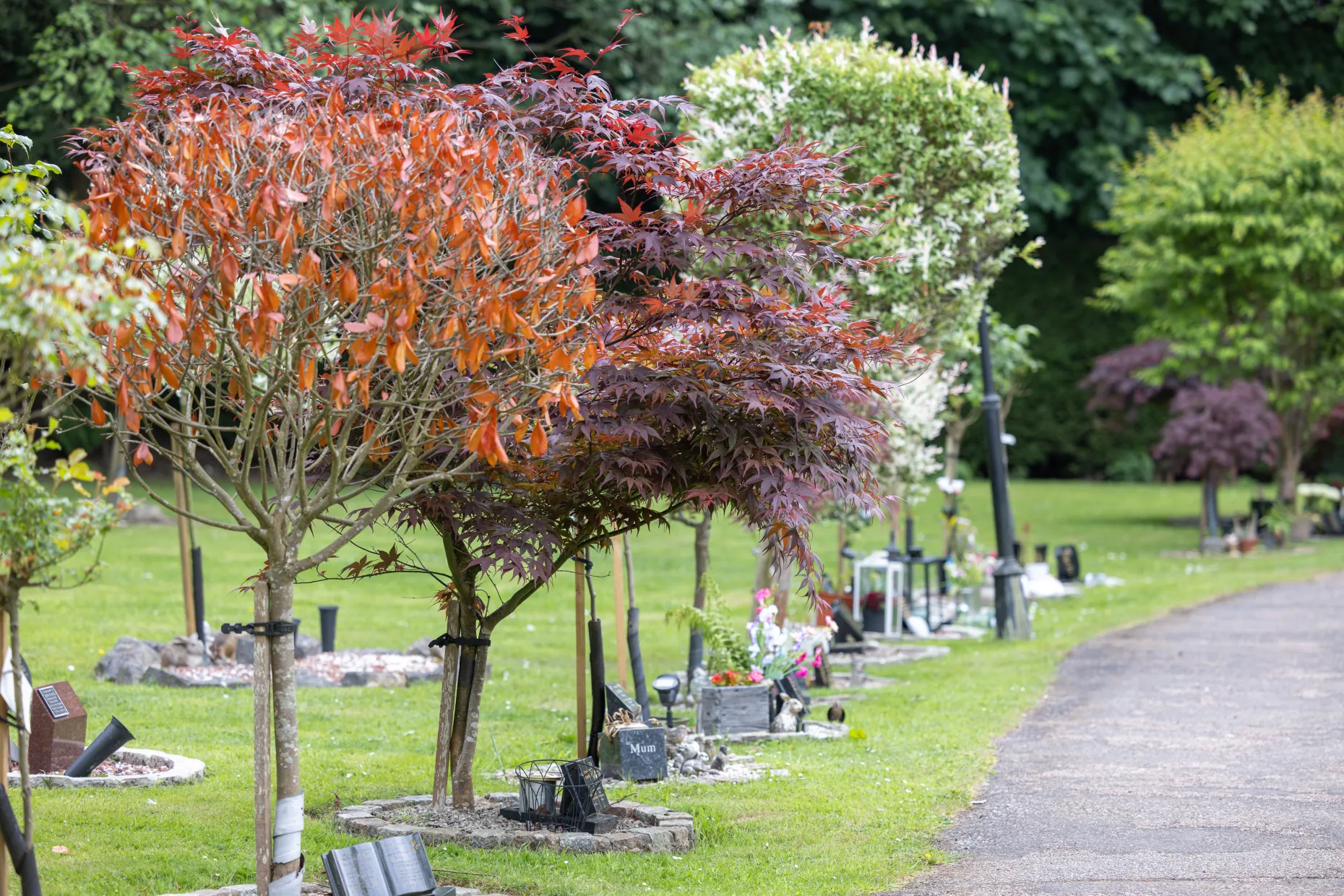 Surrey & Sussex Crematorium Grounds