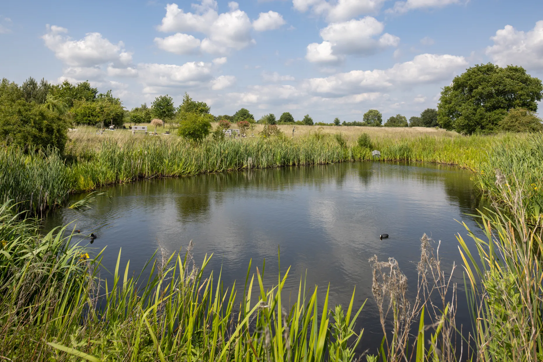 Lichfield & District Crematorium Grounds