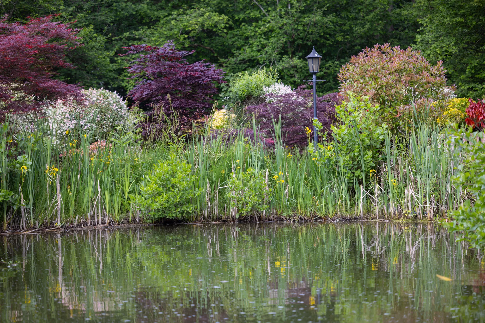 Surrey & Sussex Crematorium Grounds