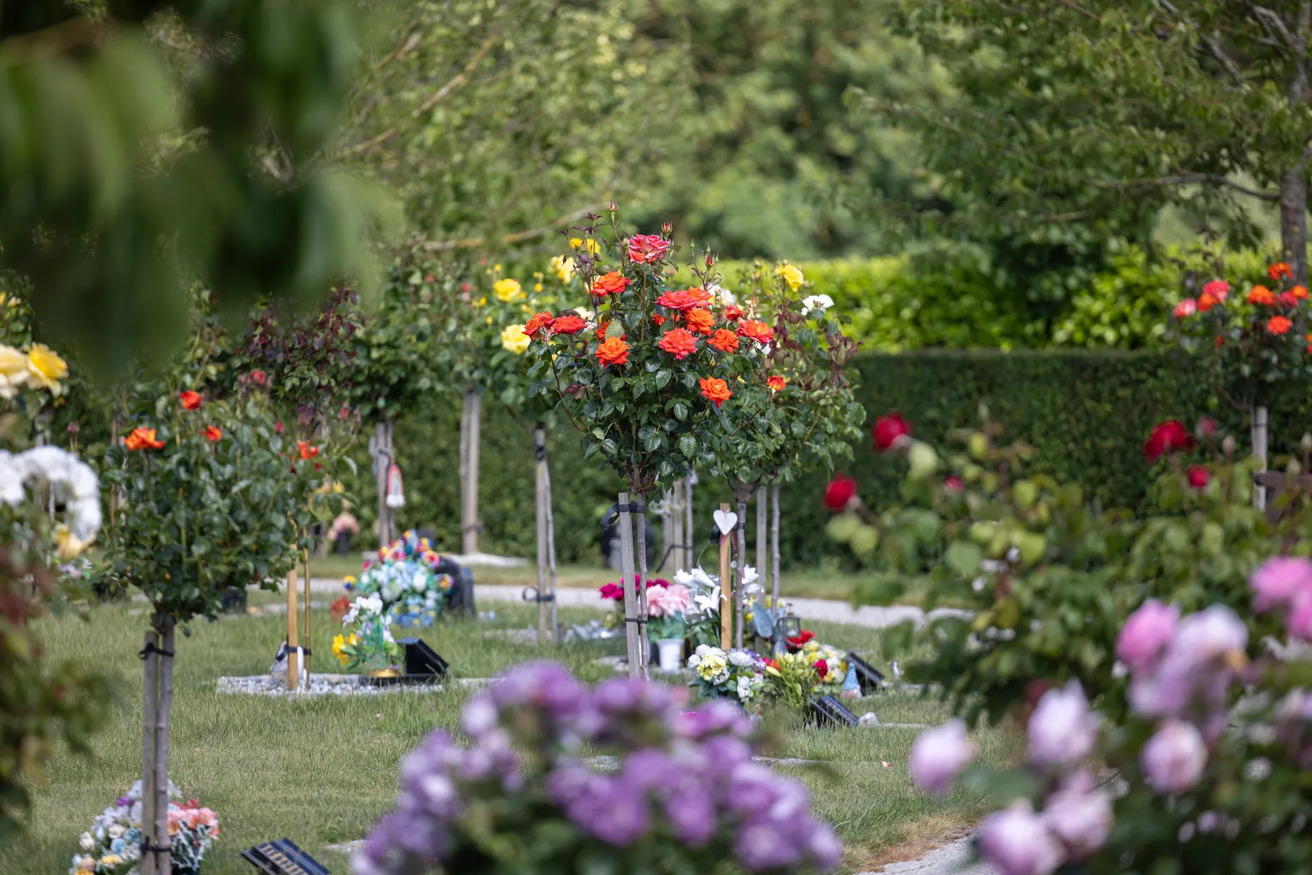 Fenland Crematorium Grounds