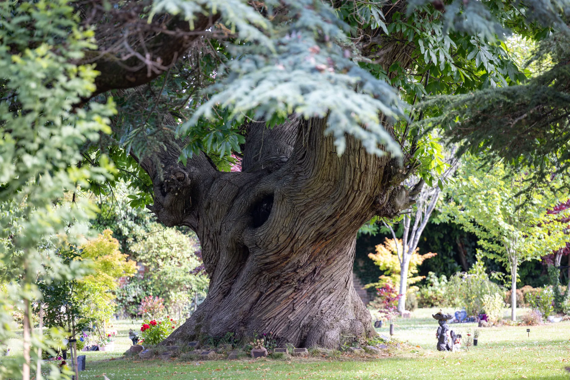 Exeter & Devon Crematorium Grounds