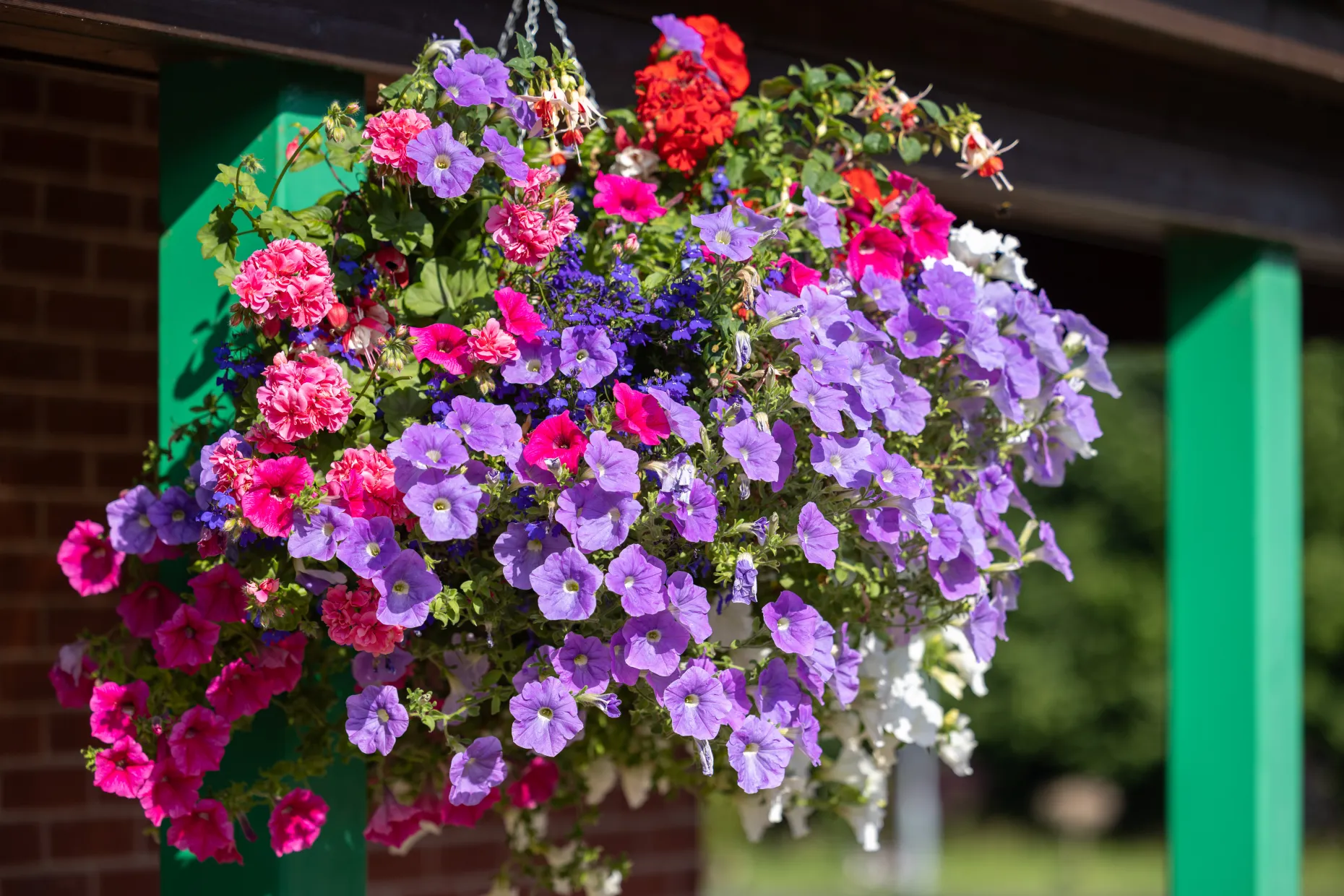 East Lancashire Crematorium Hanging Basket