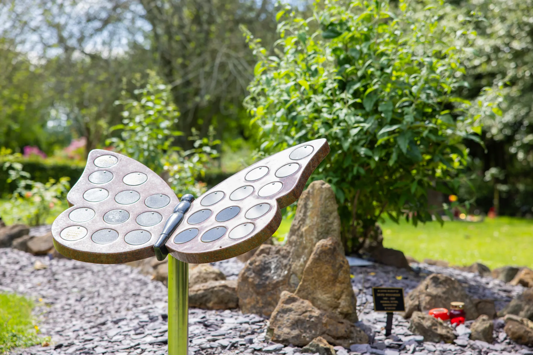 Butterfly plaques
