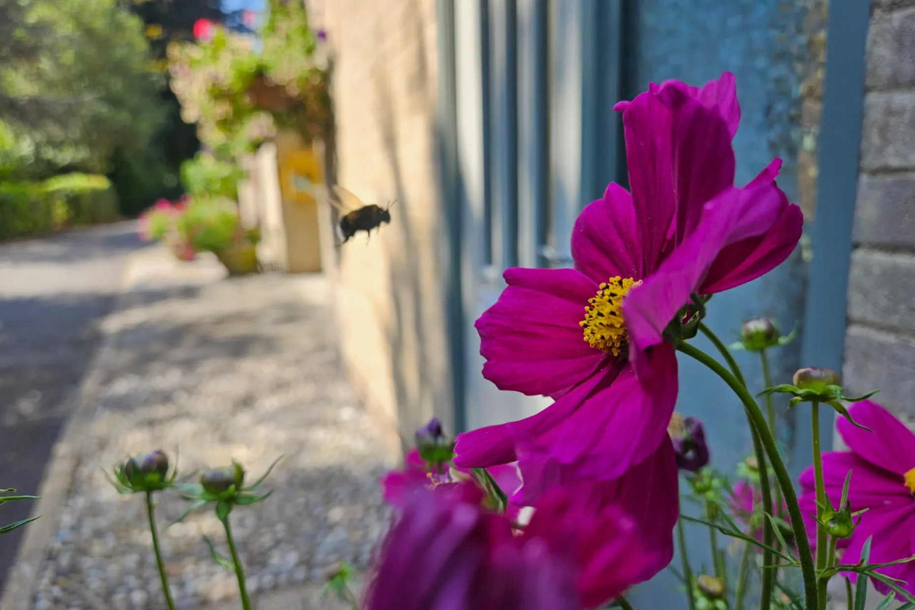 Earlham Crematorium Grounds
