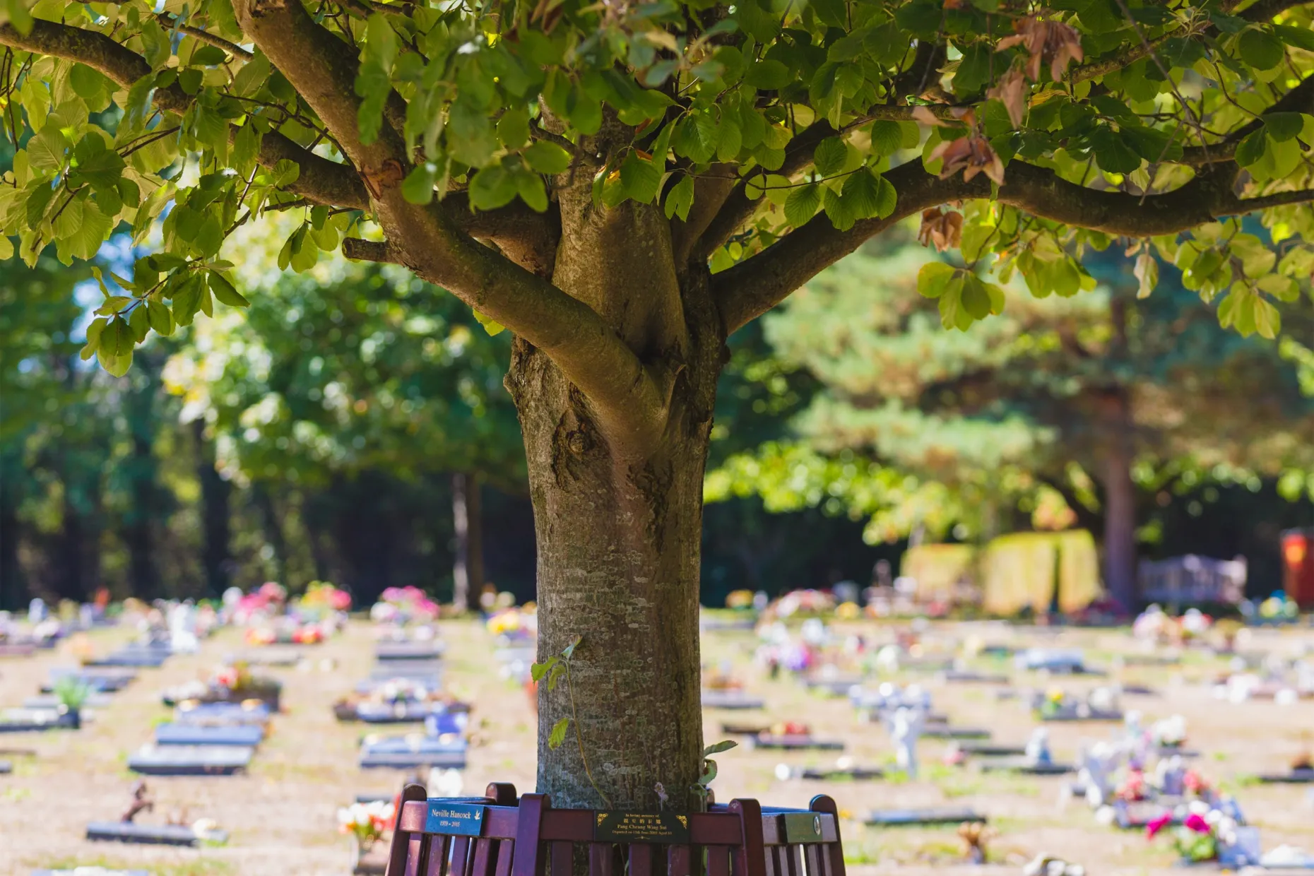 Cemetery grounds