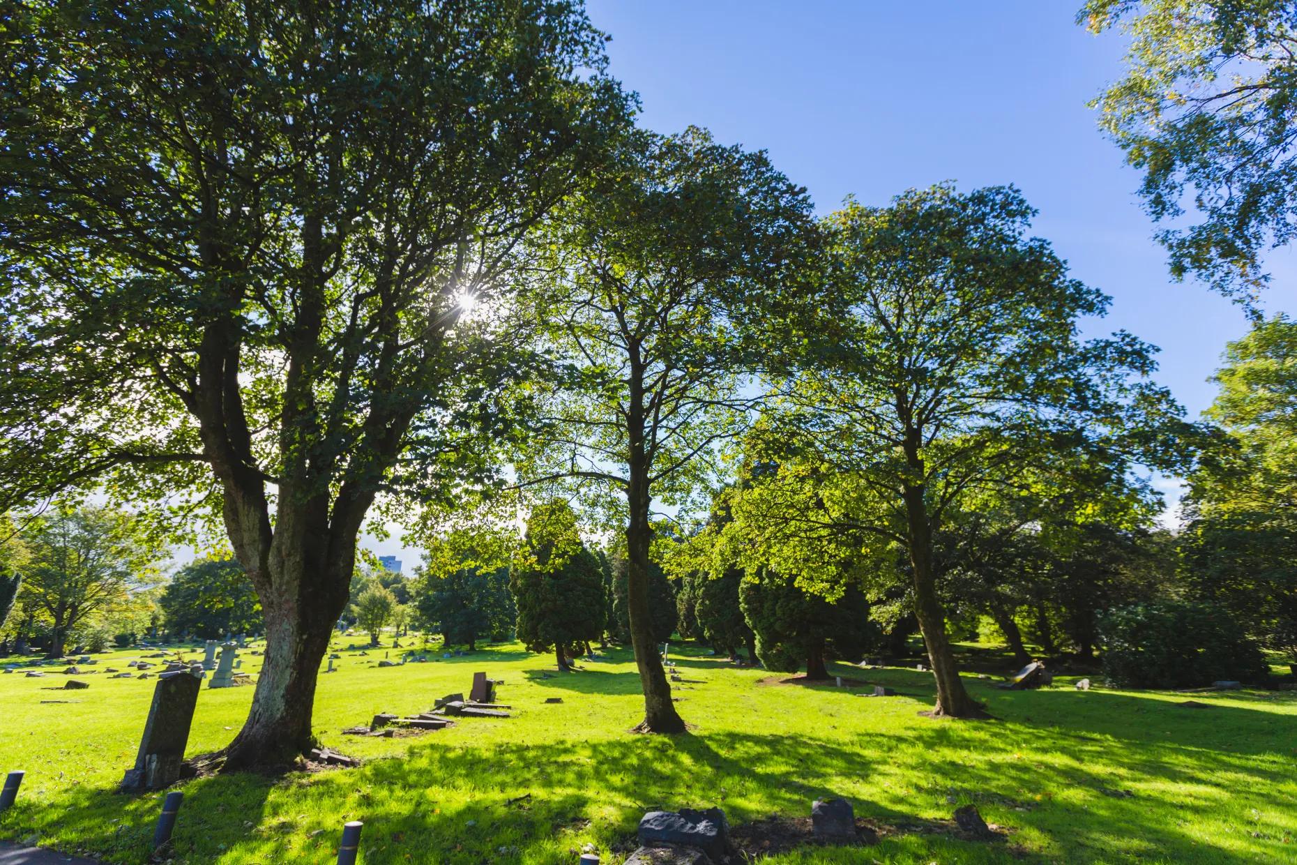 Memorial grounds
