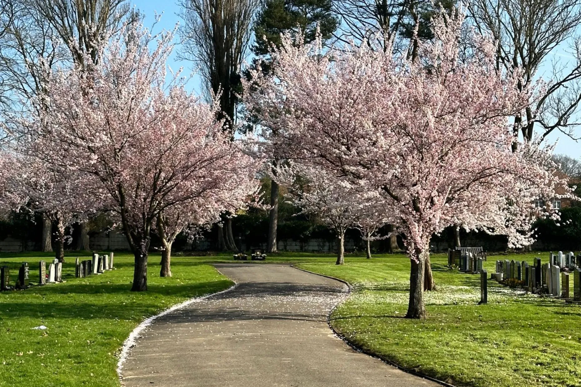 Randalls Park Cemetery grounds